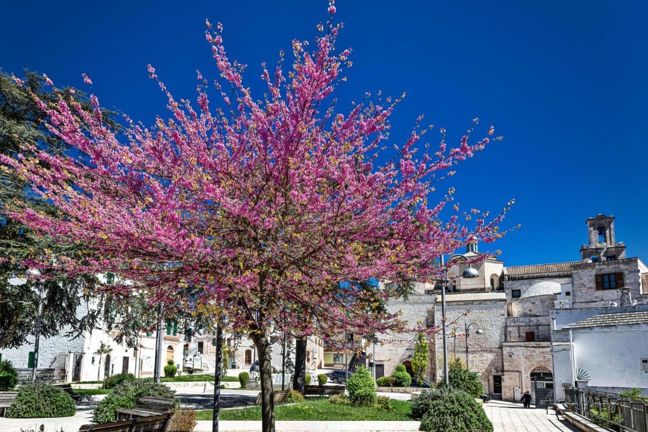 Ferienwohnung Bomboniera Di Cisternino Exterior foto